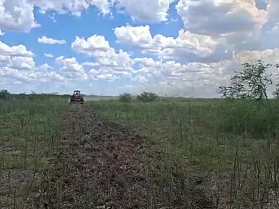 Fogo é contido no Nabileque mas ainda atinge locais isolados da Baía do Tuiuiu