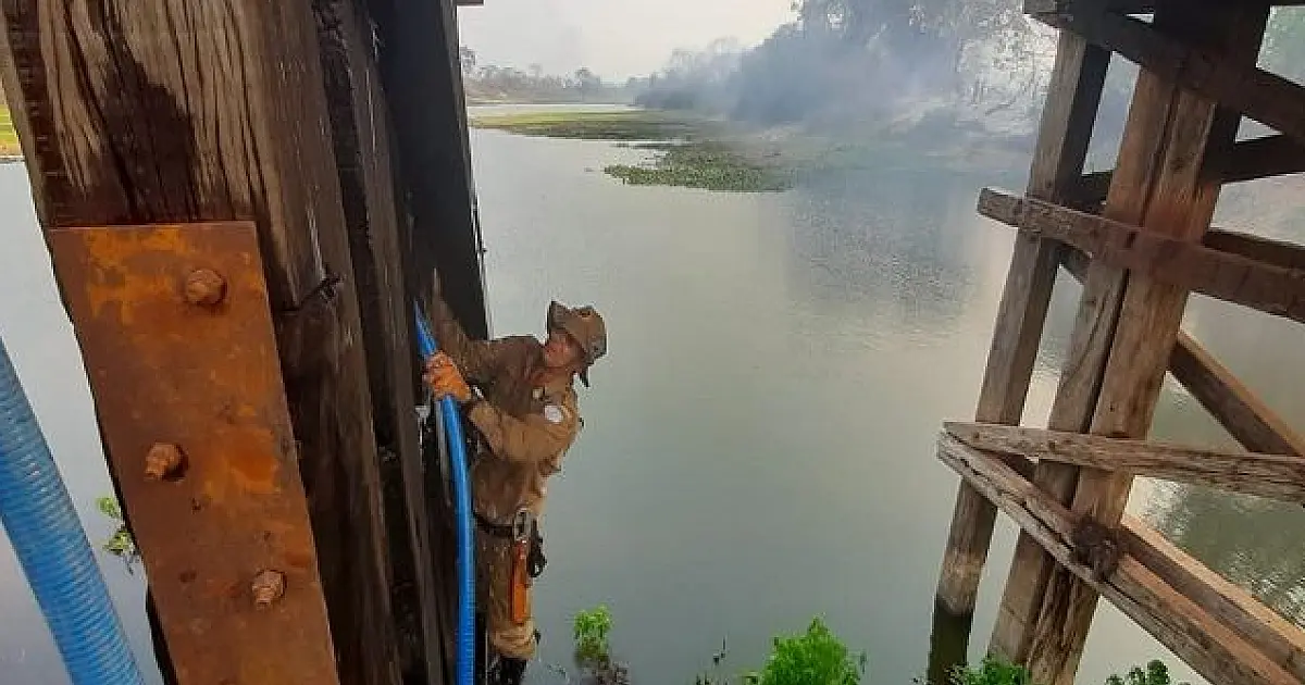 Bombeiros e pescadores evitam destruição de ponte pelo fogo na Estrada-Parque