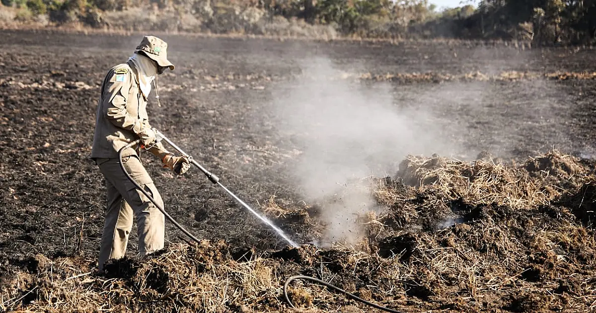 Bombeiros localizam novos focos de incêndio no Pantanal e continuam acampados