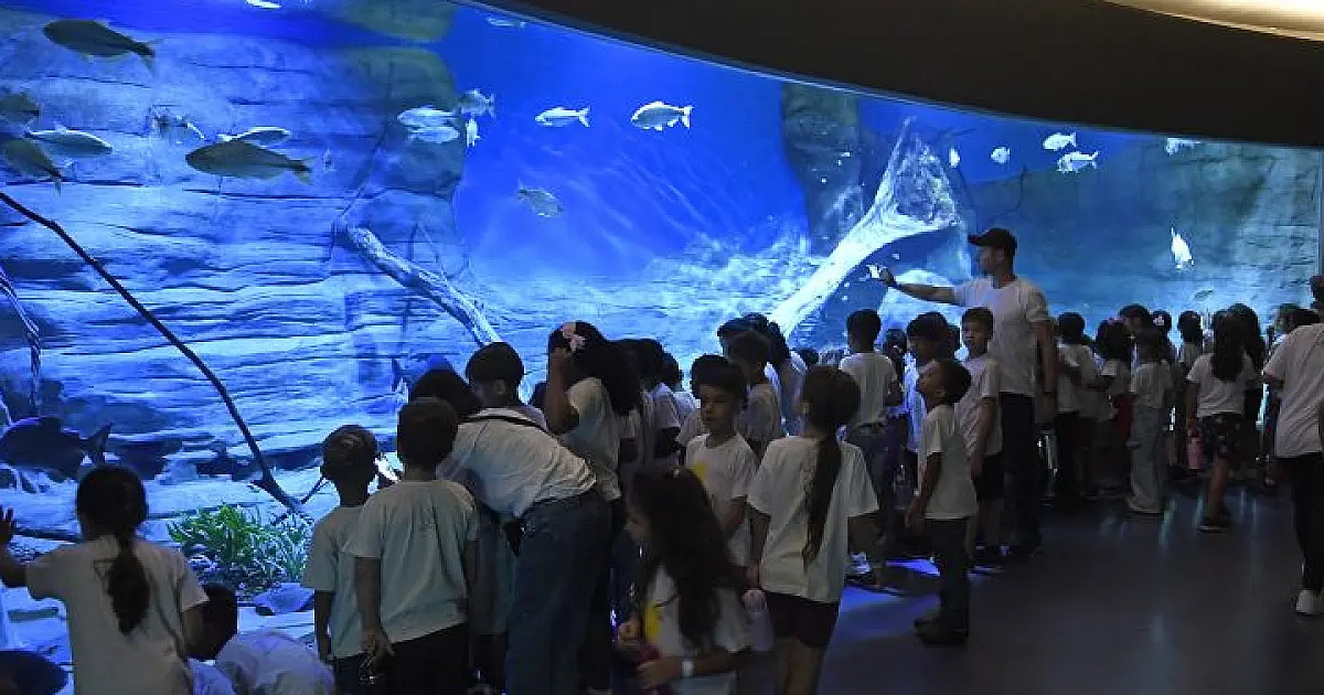 Bioparque Pantanal recebe selo internacional em turismo sustentável