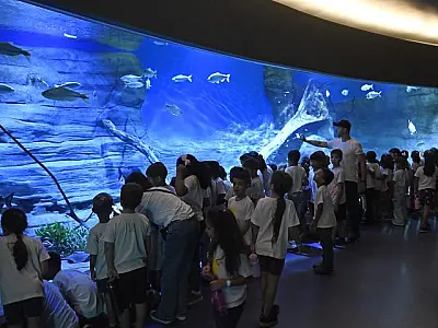 Bioparque Pantanal recebe selo internacional em turismo sustentável