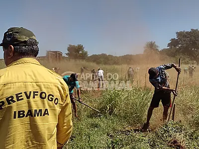Inscrições abertas para Brigadistas do Prevfogo/Ibama 2025