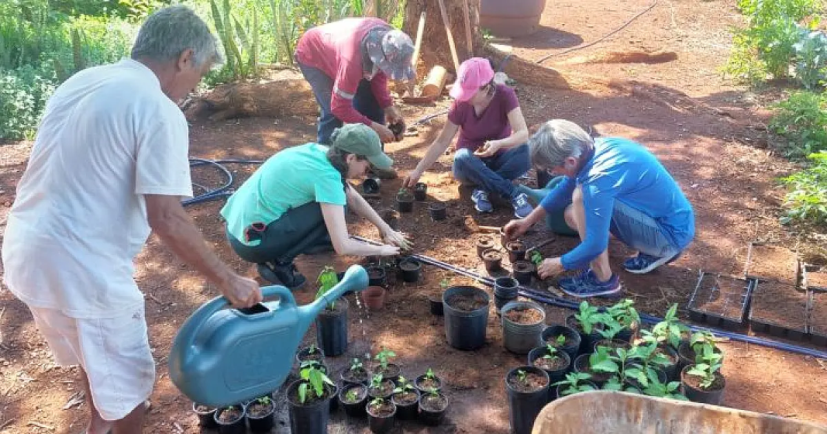 Mato Grosso do Sul avança com a inclusão de fitoterápicos na saúde pública