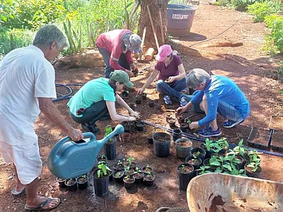 Mato Grosso do Sul avança com a inclusão de fitoterápicos na saúde pública