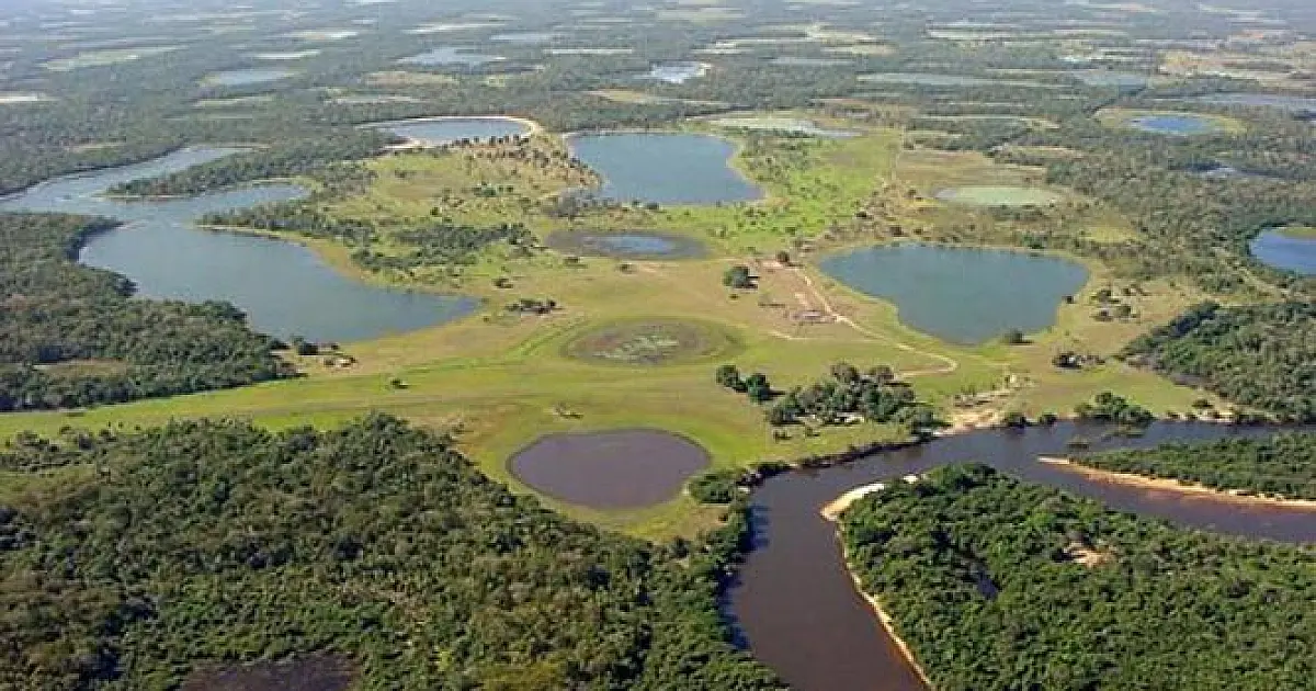 Corumbá é a segunda cidade de MS que mais recuperou áreas de vegetação nativa