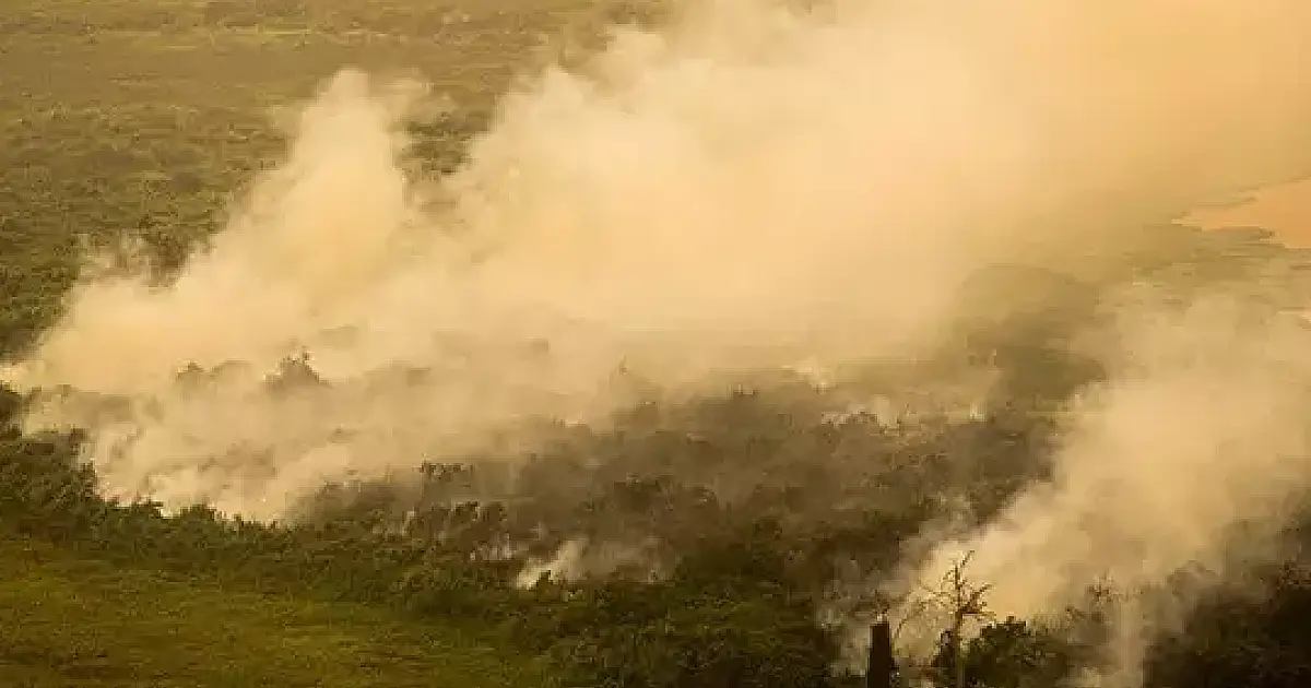 União cobra 725 milhões de fazendeiros por fogo em 6 mil hectares no Pantanal