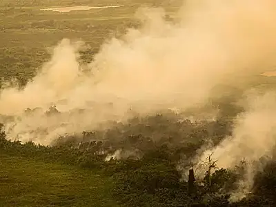 União cobra 725 milhões de fazendeiros por fogo em 6 mil hectares no Pantanal