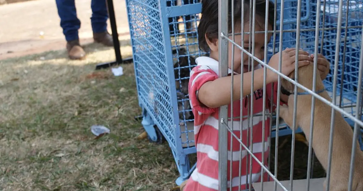 Hoje (7) tem adoção Pet no CCZ de Campo Grande