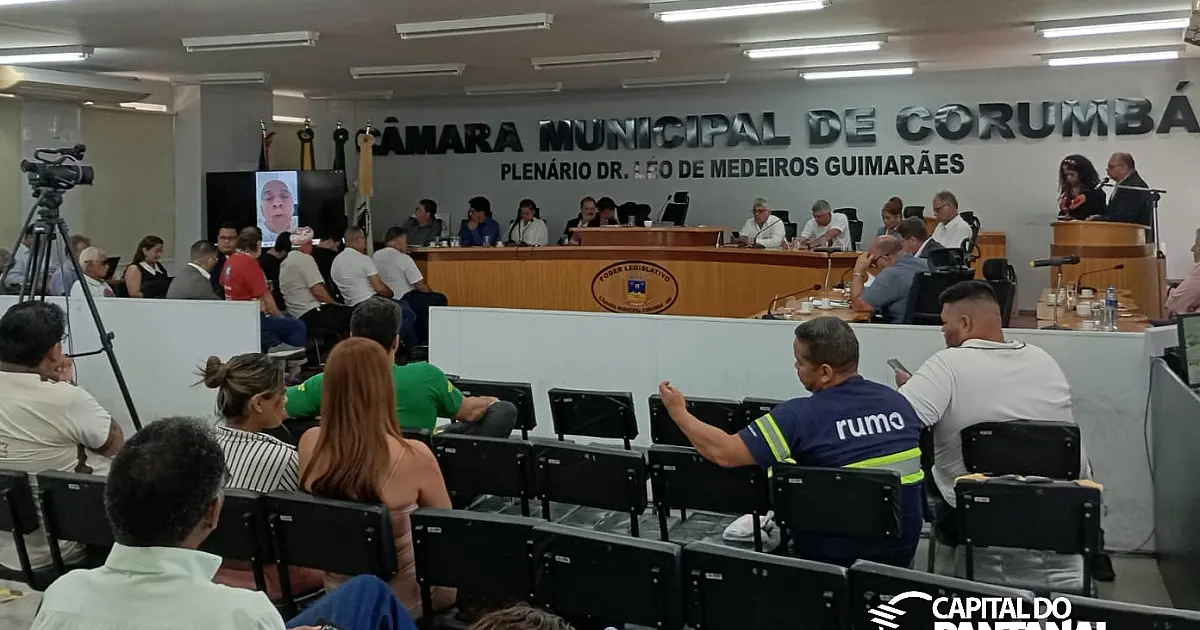 Audiência Pública: Especialistas defendem que ferrovia tenha administração pública