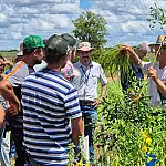 Tecnologias e diversificação de culturas melhoram produção em solos arenosos
