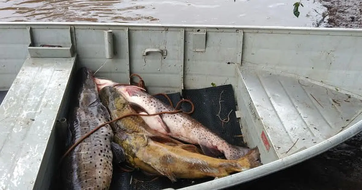 PMA apreende 62 kg de pescado, barco e petrechos utilizados em pesca ilegal