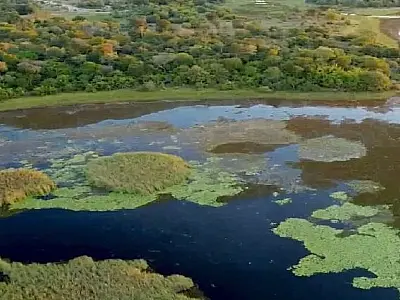 Estudo aponta potencial do Parque do Pantanal do Rio Negro na geração de créditos de carbono