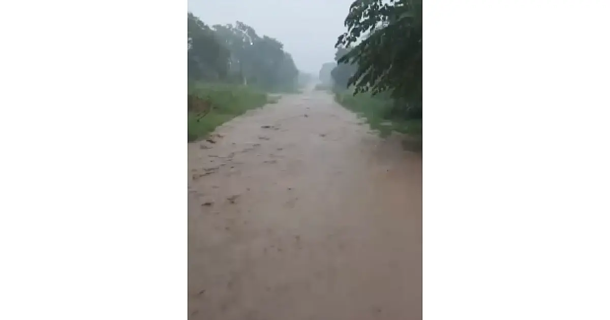 Hanna pede estudos para pavimentação completa da Rua Amazonas