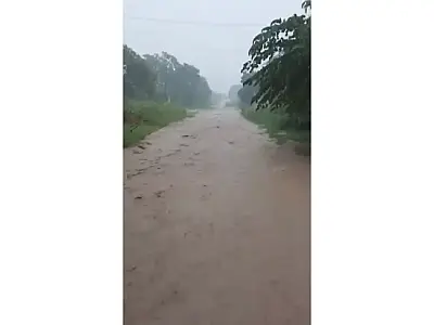 Hanna pede estudos para pavimentação completa da Rua Amazonas