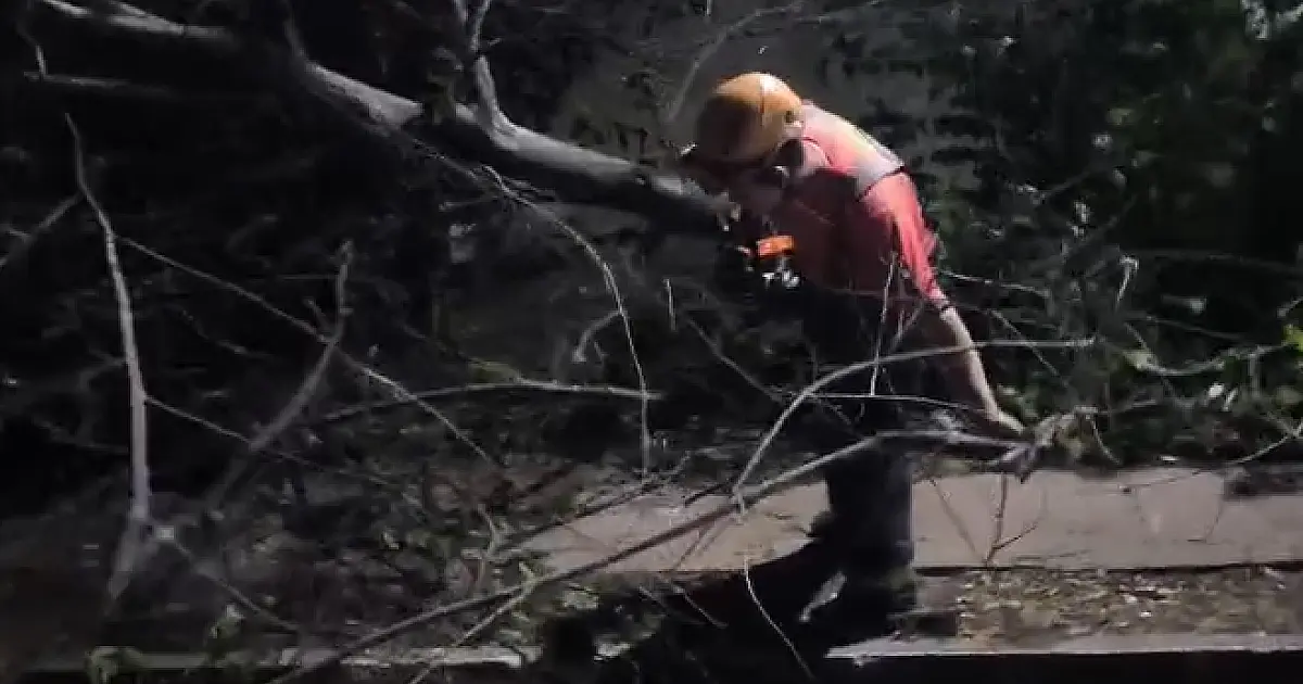 Árvore cai e deixa família fora de casa no Nova Corumbá