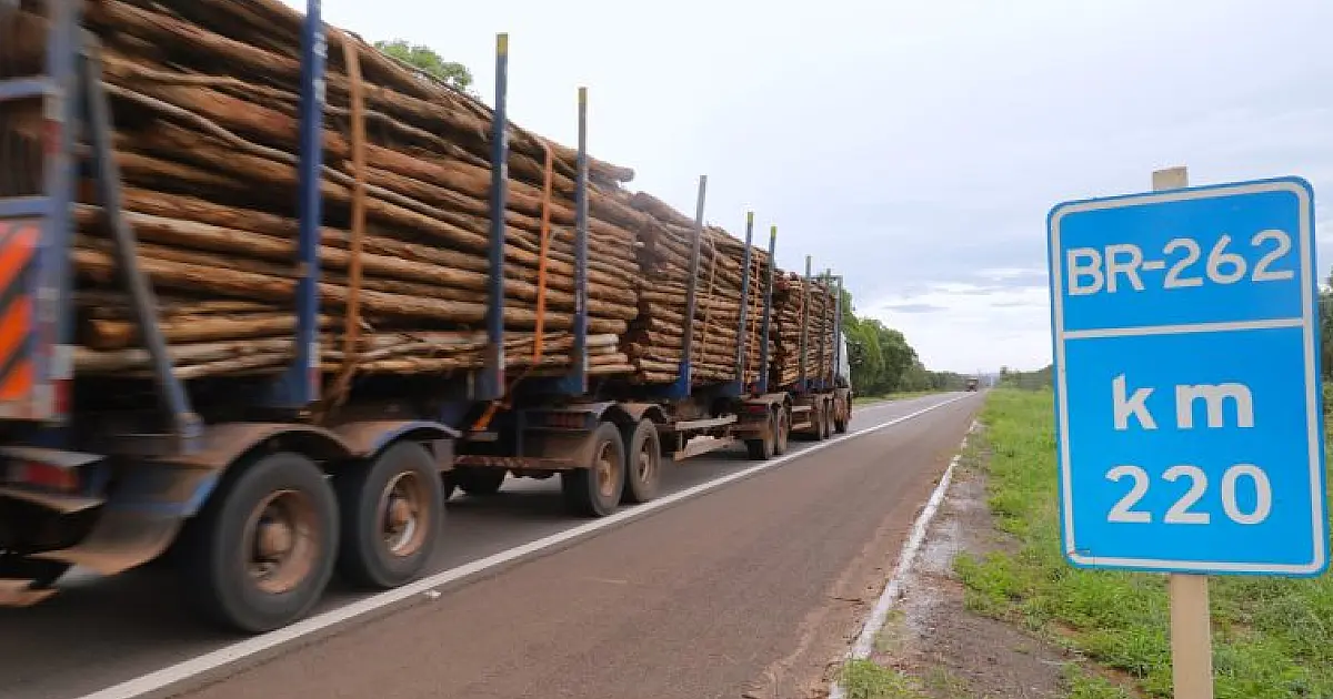 Reunião do Conselho aprova ajustes na concessão da Rota da Celulose