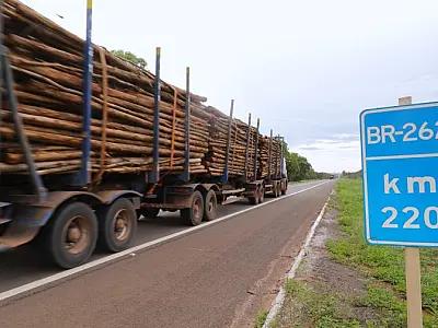 Reunião do Conselho aprova ajustes na concessão da Rota da Celulose