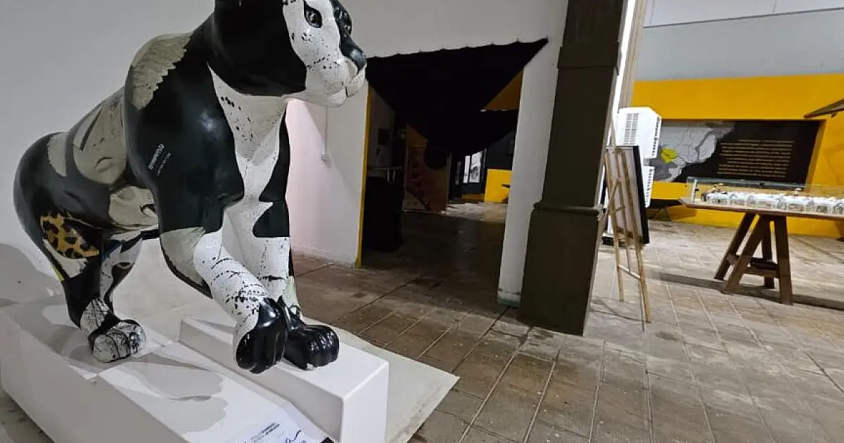 Memorial Homem Pantaneiro ajusta horários e promove feira do livro