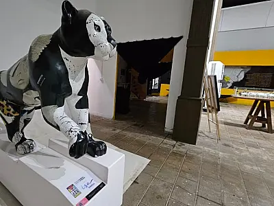 Memorial Homem Pantaneiro ajusta horários e promove feira do livro