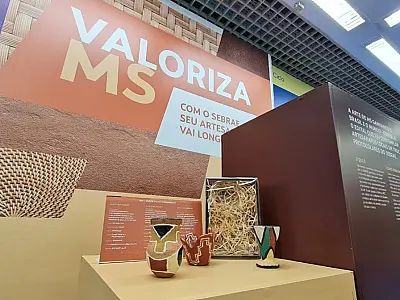 Sebrae lança edital para aquisição de produtos de artesãos de MS