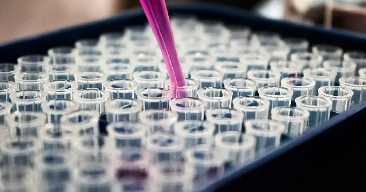 Pesquisas brasileiras avançam no diagnóstico de Alzheimer