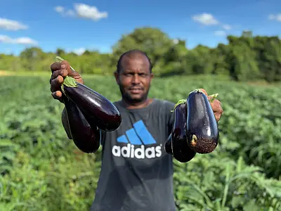 Alimentação escolar impulsionada produção e fortalece agricultura familiar em MS