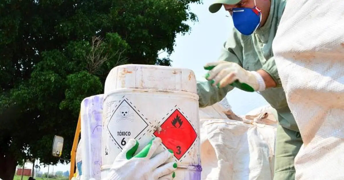 Descarte correto de embalagens de defensivos em MS supera média nacional