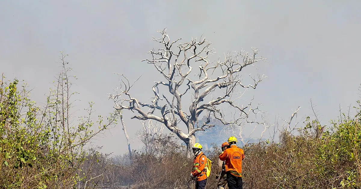 Projeto monitora impacto das queimadas no ar e na saúde da população de MS