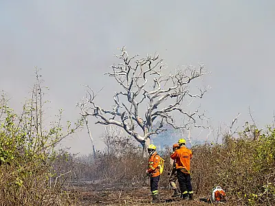 Projeto monitora impacto das queimadas no ar e na saúde da população de MS