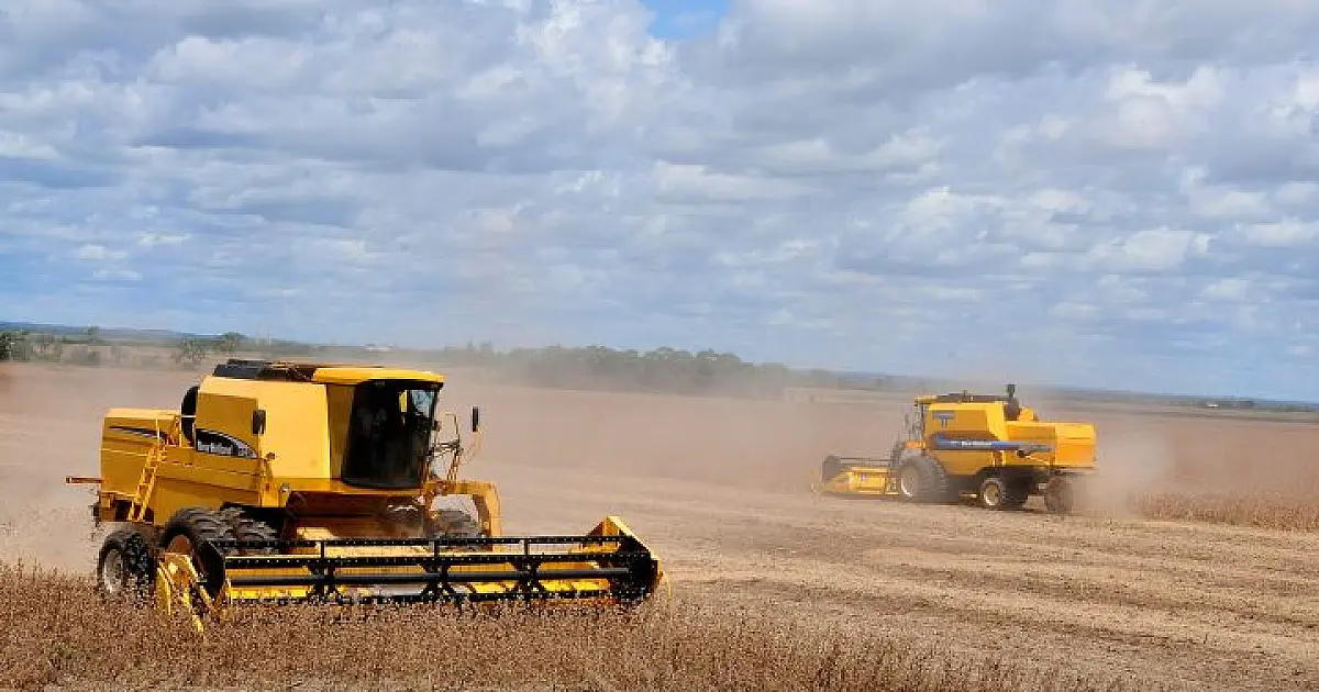 1&ordm; no ranking: crescimento econômico de Mato Grosso do Sul ganha destaque nacional