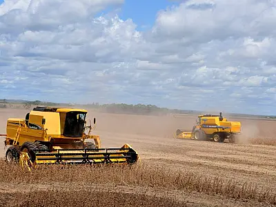 1&ordm; no ranking: crescimento econômico de Mato Grosso do Sul ganha destaque nacional