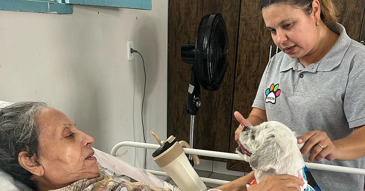 Projeto Amigo Cão melhora a saúde de pacientes com apoio de cães terapeutas