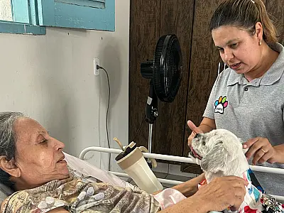 Projeto Amigo Cão melhora a saúde de pacientes com apoio de cães terapeutas