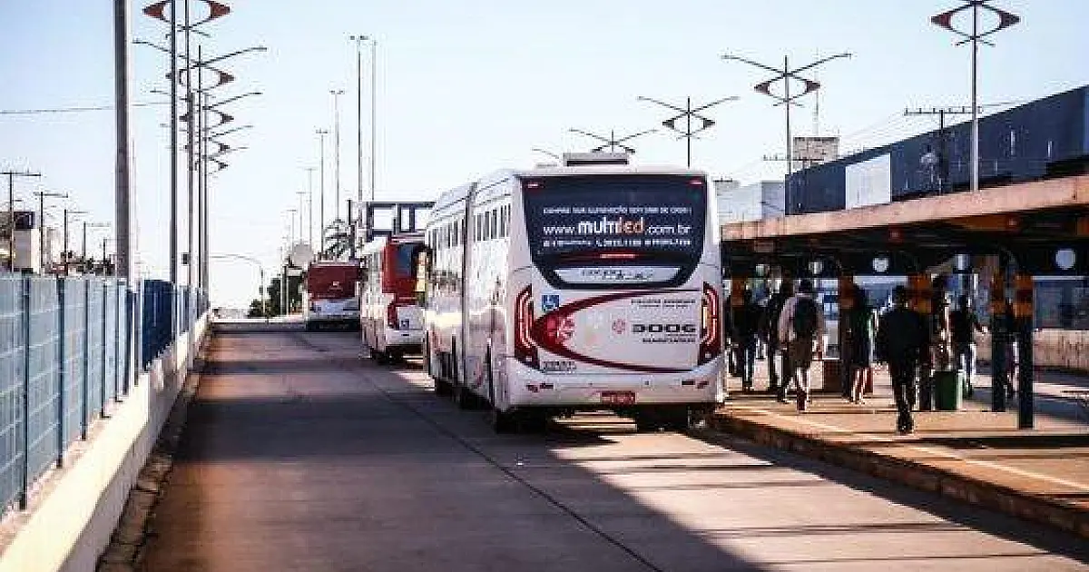 Homem é flagrado por guarda municipal se masturbando em ônibus