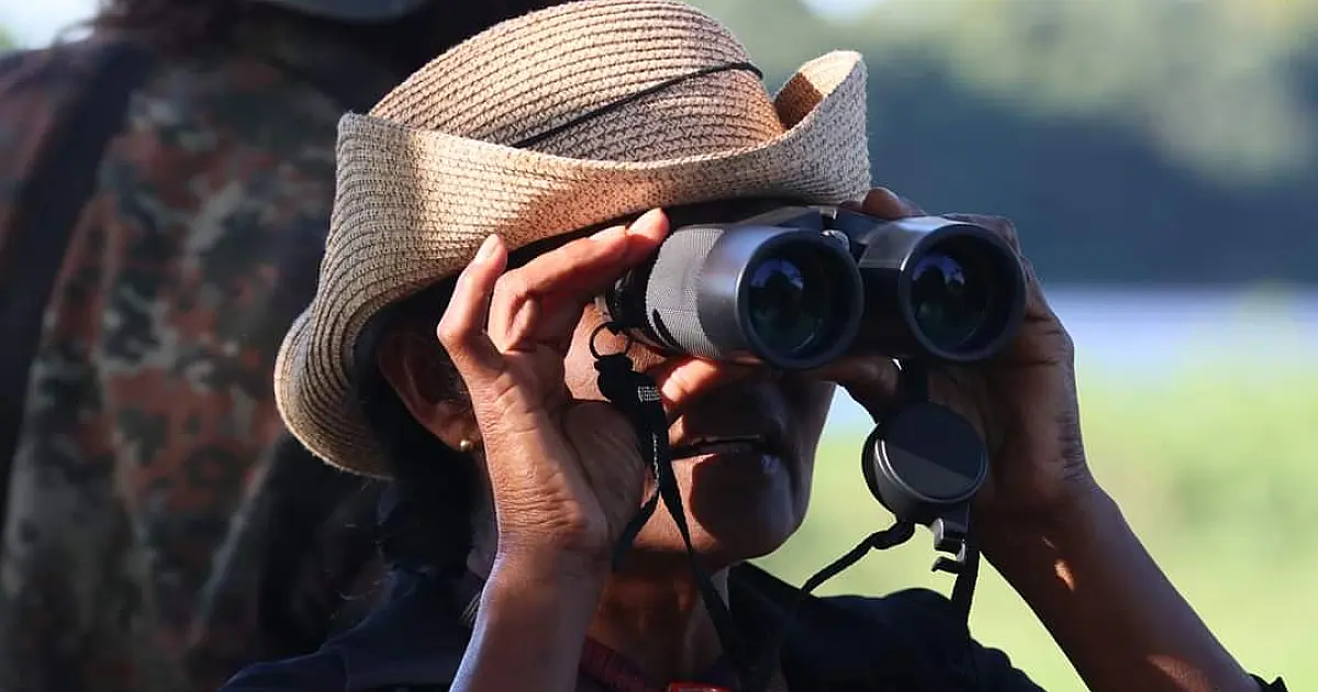 MS se destaca como destino de observação de aves no Avistar Brasil 2025