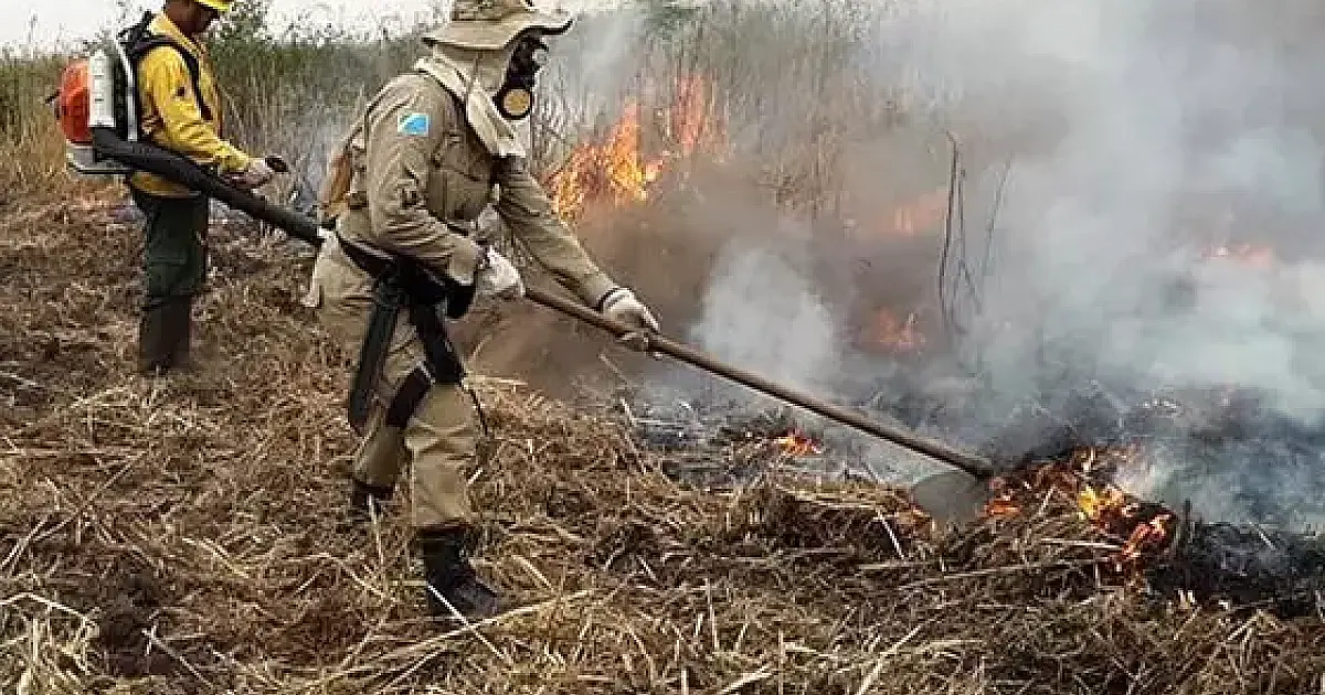 Governo federal decreta emergência ambiental no Pantanal
