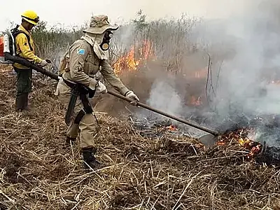 Governo federal decreta emergência ambiental no Pantanal