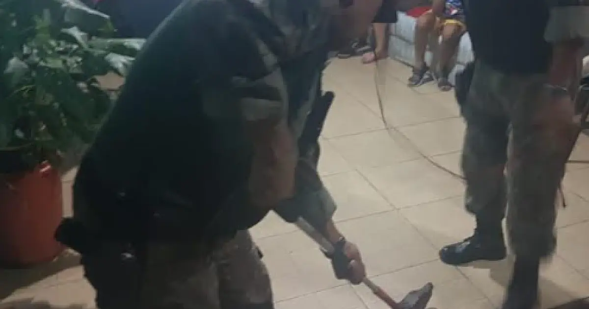 Filhote de jacaré é capturado em residência de Ladário