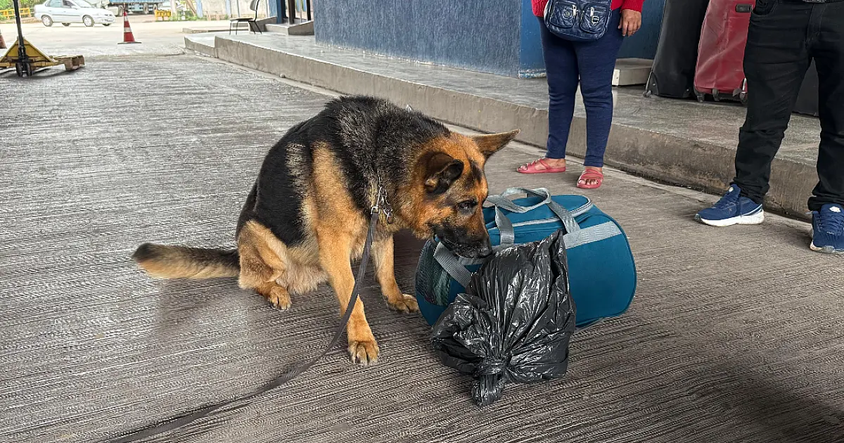 Operação flagra drogas e munições ilegais na fronteira com a Bolívia