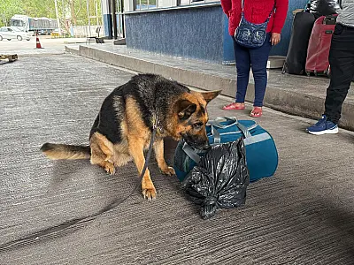 Operação flagra drogas e munições ilegais na fronteira com a Bolívia