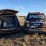 Prejuízo ao crime organizado em MS