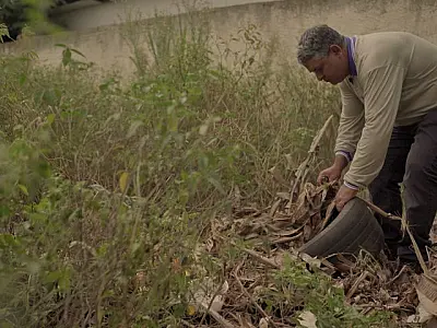 MS registra 8.272 casos confirmados de dengue