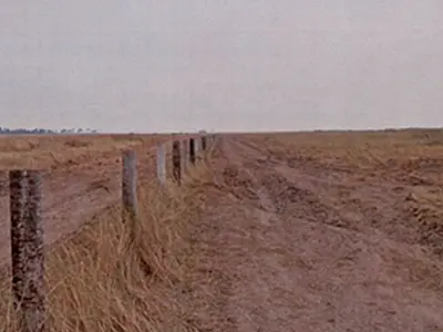 MPMS apura queimada ilegal de mais de 2 mil hectares de fazenda em Corumbá