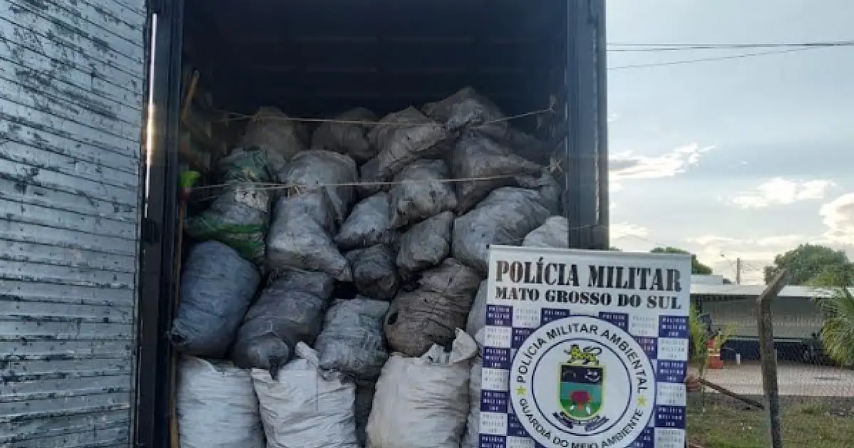 PMA apreende caminhão baú com 21 m³ de carvão transportados ilegalmente