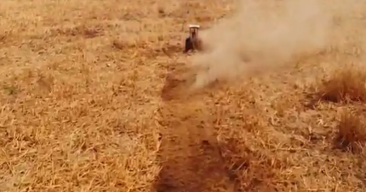 Bombeiros abrem aceiro na vegetação seca para deter incêndios do Pantanal