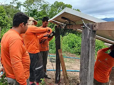 Projeto para brigada ambiental no Pantanal fica de fora das Emendas Participativas