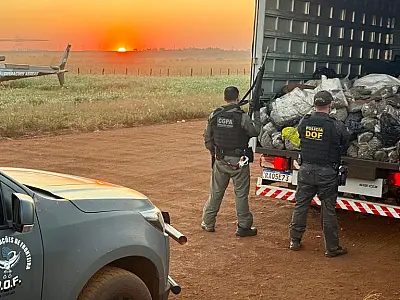 Caminhão roubado é flagrado com mais de 2 toneladas de drogas em MS