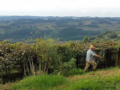 Entrega da declaração do ITR 2025 começa nesta segunda-feira