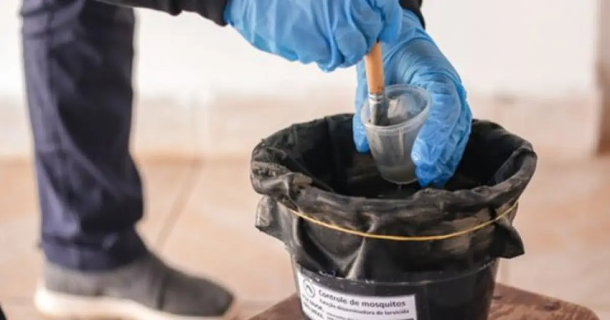 Projeto-piloto usa os próprios mosquitos para combater a dengue em MS