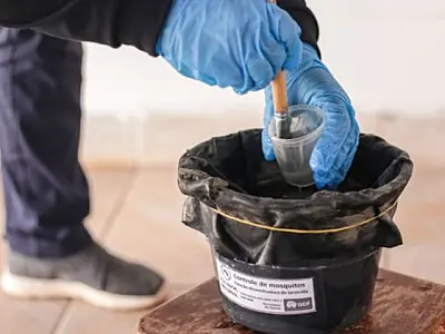 Projeto-piloto usa os próprios mosquitos para combater a dengue em MS